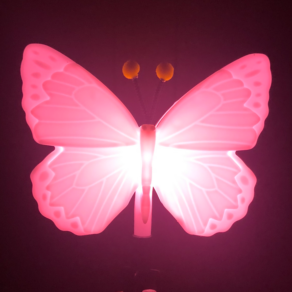 Eternal Light Butterfly – Eternal Light Co